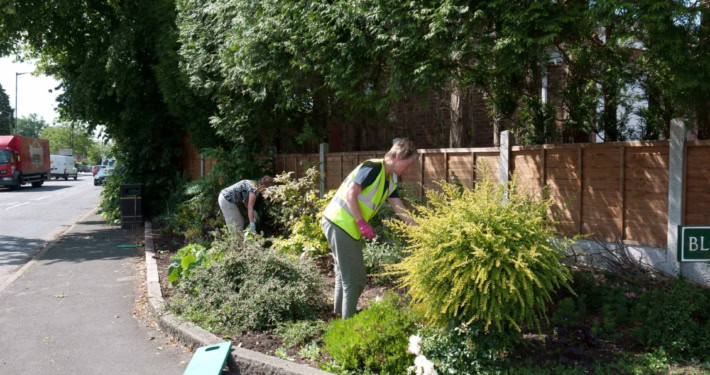 Two people in safety vests are gardening by a roadside, trimming bushes on a sunny day.